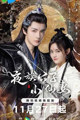 夜族公子小仙妻:千年虐恋,奇幻仙侠爱情故事