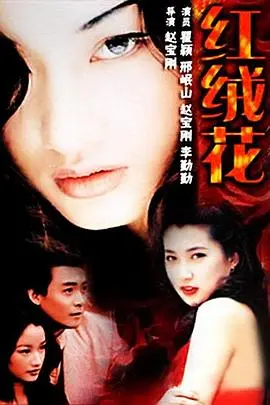 《红绒花》：战火中的绽放，谱写生命的赞歌