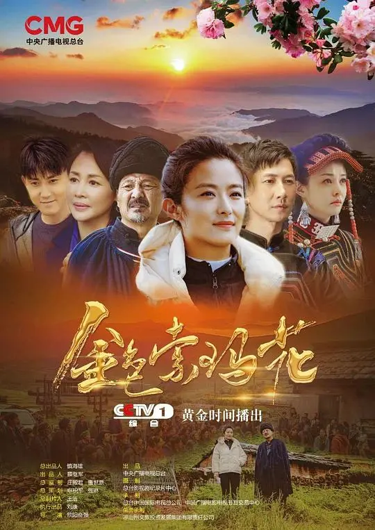 《金色索玛花》：藏地秘境的温暖绽放，治愈心灵的史诗